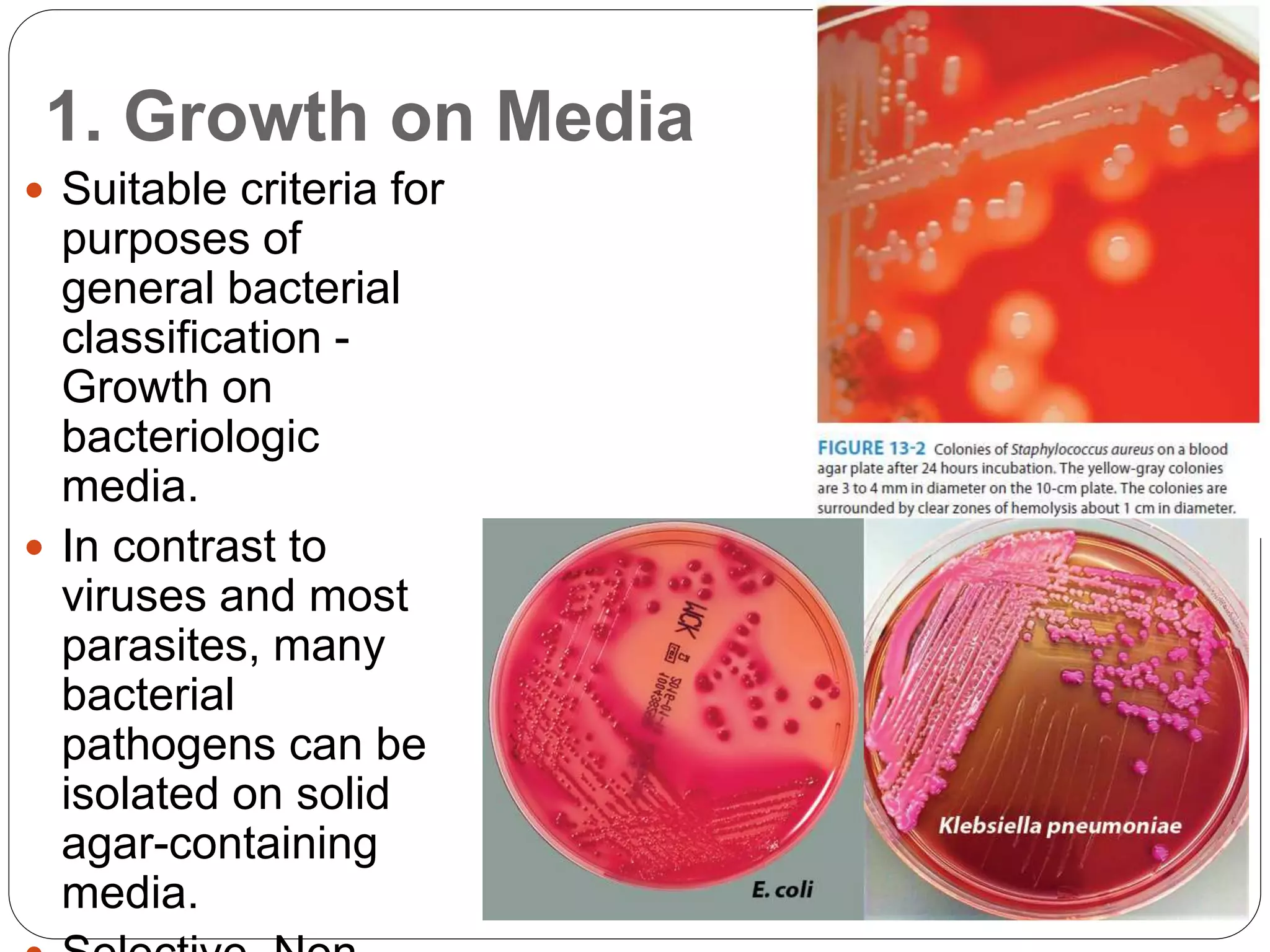 1. Growth on Media
 Suitable criteria for
purposes of
general bacterial
classification -
Growth on
bacteriologic
media.
 In contrast to
viruses and most
parasites, many
bacterial
pathogens can be
isolated on solid
agar-containing
media.
 