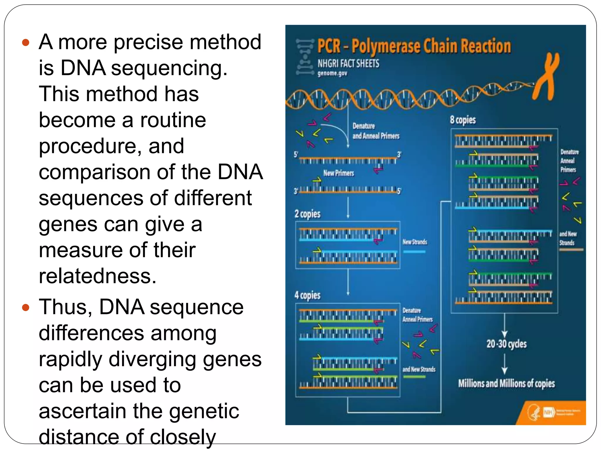  A more precise method
is DNA sequencing.
This method has
become a routine
procedure, and
comparison of the DNA
sequences of different
genes can give a
measure of their
relatedness.
 Thus, DNA sequence
differences among
rapidly diverging genes
can be used to
ascertain the genetic
distance of closely
 