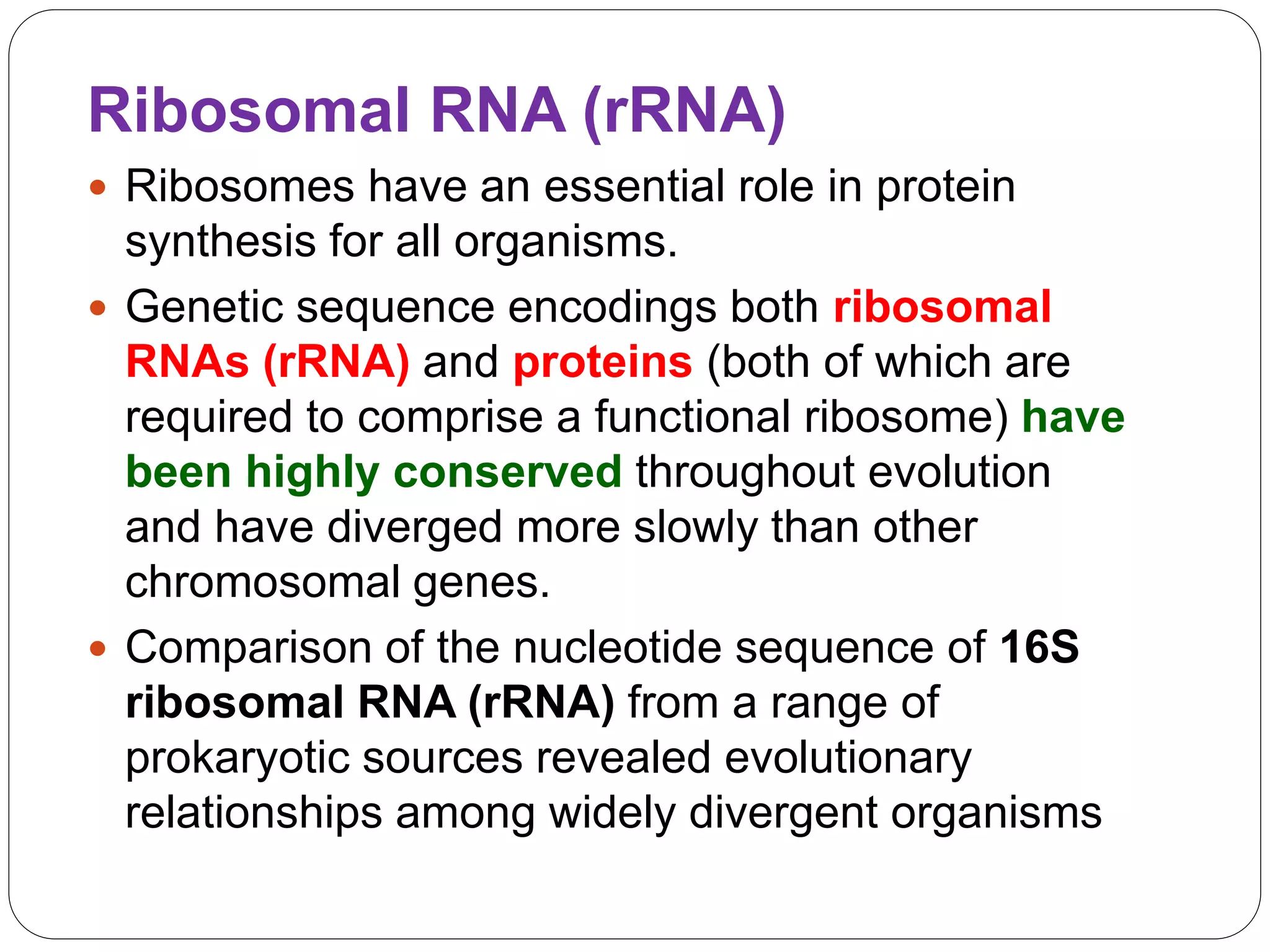 Ribosomal RNA (rRNA)
 Ribosomes have an essential role in protein
synthesis for all organisms.
 Genetic sequence encodings both ribosomal
RNAs (rRNA) and proteins (both of which are
required to comprise a functional ribosome) have
been highly conserved throughout evolution
and have diverged more slowly than other
chromosomal genes.
 Comparison of the nucleotide sequence of 16S
ribosomal RNA (rRNA) from a range of
prokaryotic sources revealed evolutionary
relationships among widely divergent organisms
 