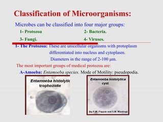 Classification of Microorganisms:
Microbes can be classified into four major groups:
1- Protozoa 2- Bacteria.
3- Fungi. 4- Viruses.
1- The Protozoa: These are unicellular organisms with protoplasm
differentiated into nucleus and cytoplasm.
Diameters in the range of 2-100 μm.
The most important groups of medical protozoa are:
A-Amoeba: Entamoeba species. Mode of Motility: pseudopodia.
 
