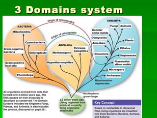 3 Domains system 