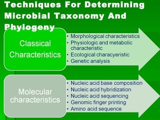 Techniques For Determining Microbial Taxonomy And Phylogeny 