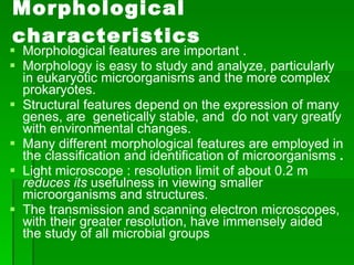 Morphological features are important .  Morphology is easy to study and analyze, particularly in eukaryotic microorganisms and the more complex prokaryotes. Structural features depend on the expression of many genes, are  genetically stable, and  do not vary greatly with environmental changes.  Many different morphological features are employed in the classification and identification of microorganisms  . Light microscope : resolution limit of about 0.2 m  reduces its  usefulness in viewing smaller microorganisms and structures.  The transmission and scanning electron microscopes, with their greater resolution, have immensely aided the study of all microbial groups Morphological characteristics 