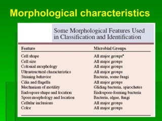 Morphological characteristics 