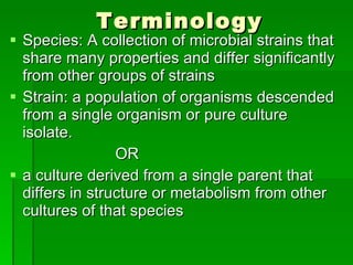 Terminology Species: A collection of microbial strains that share many properties and differ significantly from other groups of strains Strain: a population of organisms  descended from a  single organism or pure culture isolate. OR a culture derived from a single parent that differs in structure or metabolism from other cultures of that species 