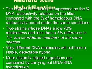 Nucleic Acid Hybridization The degree of similarity is expressed as the %  DNA radioactivity retained on the filter compared with the % of homologous DNA radioactivity bound under the same conditions Two strains whose DNAs show 70% relatedness and less than a 5% difference in  Tm  are considered members of the same species. Very different DNA molecules will not form a stable, detectable hybrid.  More distantly related organisms are compared by carrying out DNA-RNA hybridization. 