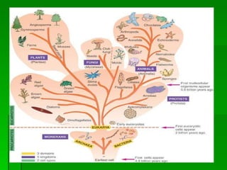 Classification of microorganisms lecture note by rm patel | PPT