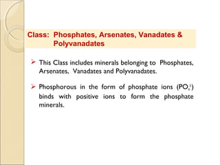 Class: Phosphates, Arsenates, Vanadates &
Polyvanadates
 This Class includes minerals belonging to Phosphates,
Arsenates, Vanadates and Polyvanadates.
 Phosphorous in the form of phosphate ions (PO4
3-
)
binds with positive ions to form the phosphate
minerals.
 