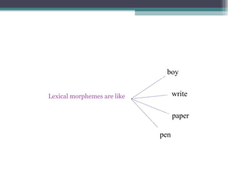 
Lexical morphemes are like
boy
write
paper
pen
 