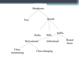Morpheme
Free Bound
Prefix Infix
Suffix
Derivational Inflectional Bound
bases
Class-
maintaining
Class-changing
 