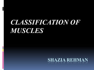 SHAZIA REHMAN
CLASSIFICATION OF
MUSCLES
 