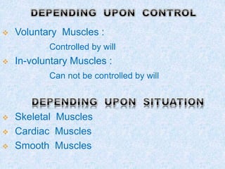 Not Voluntary Classification of Muscles.pptx