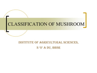 Institute OF AGRICULTURAL SCIENCES,
s ‘o’ a du, BBsr
CLASSIFICATION OF MUSHROOM
 