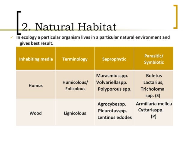 Classification of mushrooms | PDF | Biological Sciences | Science