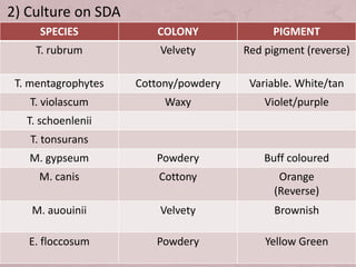 Classification of Mycoses by Dr. Rakesh Prasad Sah | PPTX