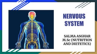 NERVOUS
SYSTEM
SALMA ASGHAR
M.Sc (NUTRITION
AND DIETETICS)
 