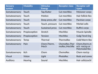 Comprehensive Overview of Neuron Classification, Properties, and ...