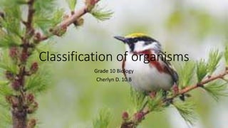 Classification of organisms
Grade 10 Biology
Cherlyn D. 10 B
 
