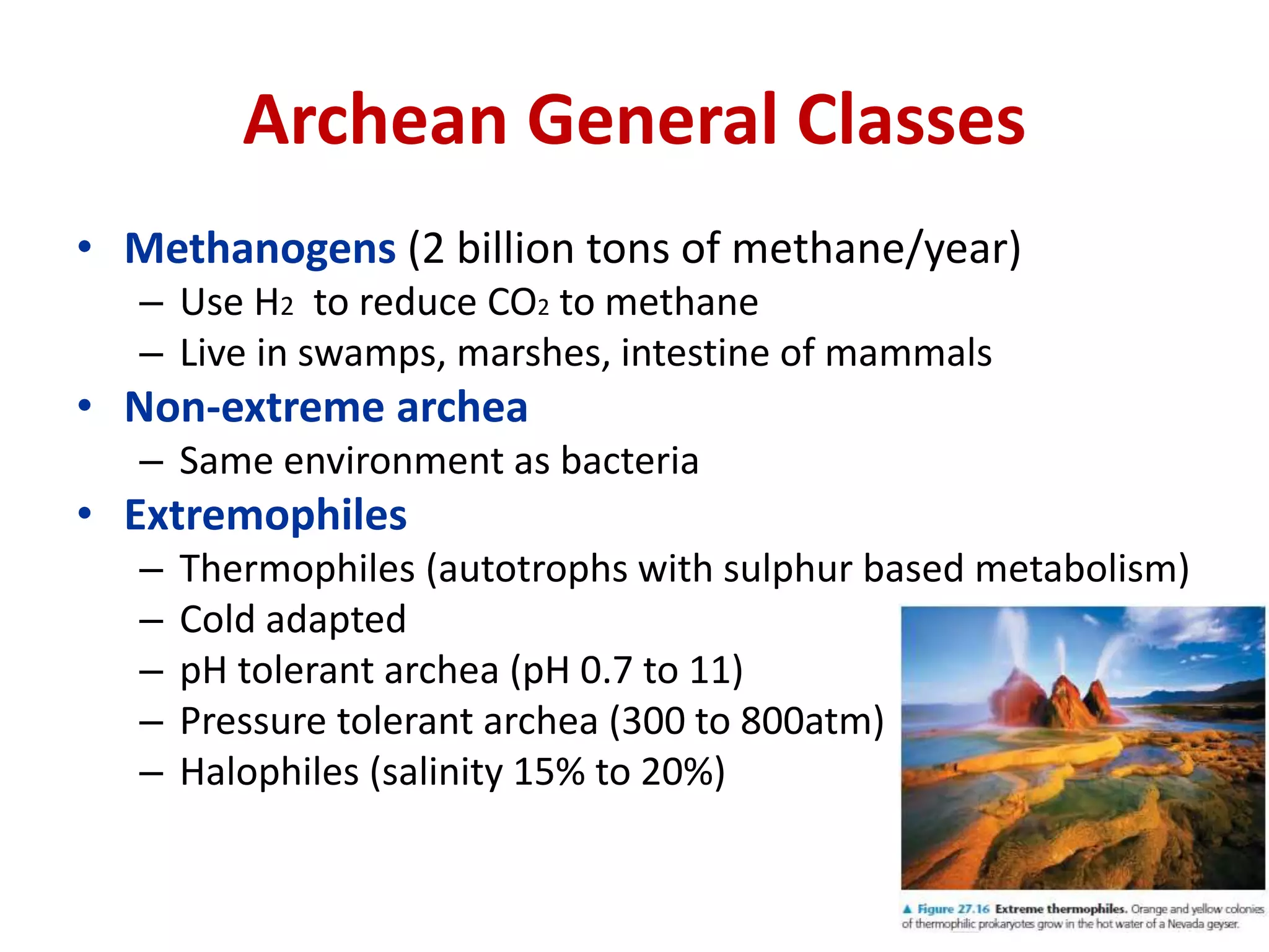 Archean General Classes
• Methanogens (2 billion tons of methane/year)
– Use H2 to reduce CO2 to methane
– Live in swamps, marshes, intestine of mammals
• Non-extreme archea
– Same environment as bacteria
• Extremophiles
– Thermophiles (autotrophs with sulphur based metabolism)
– Cold adapted
– pH tolerant archea (pH 0.7 to 11)
– Pressure tolerant archea (300 to 800atm)
– Halophiles (salinity 15% to 20%)
 