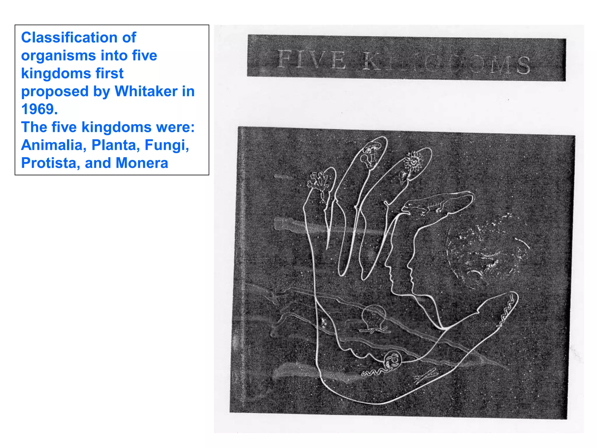 Classification of
organisms into five
kingdoms first
proposed by Whitaker in
1969.
The five kingdoms were:
Animalia, Planta, Fungi,
Protista, and Monera
 