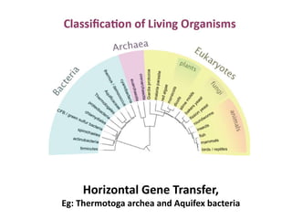 Horizontal Gene Transfer,
Eg: Thermotoga archea and Aquifex bacteria
 