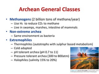 Archean General Classes
• Methanogens (2 billion tons of methane/year)
– Use H2 to reduce CO2 to methane
– Live in swamps, marshes, intestine of mammals
• Non-extreme archea
– Same environment as bacteria
• Extremophiles
– Thermophiles (autotrophs with sulphur based metabolism)
– Cold adapted
– pH tolerant archea (pH 0.7 to 11)
– Pressure tolerant archea (300 to 800atm)
– Halophiles (salinity 15% to 20%)
 