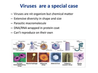Viruses are a special case
– Viruses are nit organism but chemical matter
– Extensive diversity in shape and size
– Parasitic macromolecule
– DNA/RNA wrapped in protein coat
– Can’t reproduce on their own
 