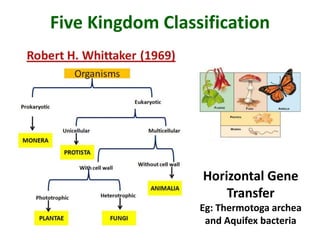 Five Kingdom Classification
Horizontal Gene
Transfer
Eg: Thermotoga archea
and Aquifex bacteria
 