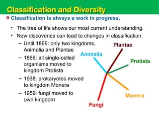 Unit 6: Classification and Diversity
• The tree of life shows our most current understanding.
• New discoveries can lead to changes in classification.
– Until 1866: only two kingdoms,
Animalia and Plantae
Classification is always a work in progress.
– 1938: prokaryotes moved
to kingdom Monera
– 1866: all single-celled
organisms moved to
kingdom Protista
Monera
– 1959: fungi moved to
own kingdom
Fungi
Protista
Plantae
Animalia
Classification and Diversity
Classification and Diversity
 