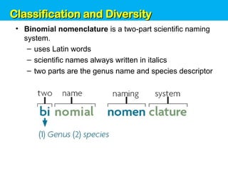 Unit 6: Classification and Diversity
• Binomial nomenclature is a two-part scientific naming
system.
– uses Latin words
– scientific names always written in italics
– two parts are the genus name and species descriptor
Classification and Diversity
Classification and Diversity
 