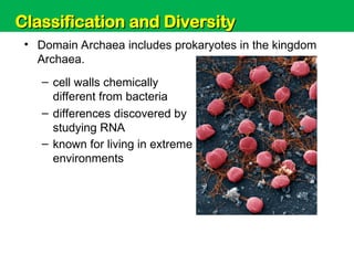 Unit 6: Classification and Diversity
– known for living in extreme
environments
• Domain Archaea includes prokaryotes in the kingdom
Archaea.
– cell walls chemically
different from bacteria
– differences discovered by
studying RNA
Classification and Diversity
Classification and Diversity
 