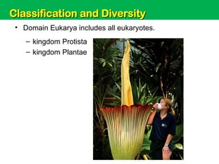 Unit 6: Classification and Diversity
• Domain Eukarya includes all eukaryotes.
– kingdom Protista
– kingdom Plantae
Classification and Diversity
Classification and Diversity
 