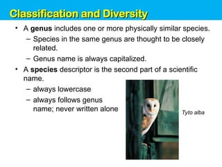 Unit 6: Classification and Diversity
• A genus includes one or more physically similar species.
– Species in the same genus are thought to be closely
related.
– Genus name is always capitalized.
• A species descriptor is the second part of a scientific
name.
– always lowercase
– always follows genus
name; never written alone Tyto alba
Classification and Diversity
Classification and Diversity
 
