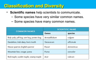 Unit 6: Classification and Diversity
• Scientific names help scientists to communicate.
– Some species have very similar common names.
– Some species have many common names.
Classification and Diversity
Classification and Diversity
 