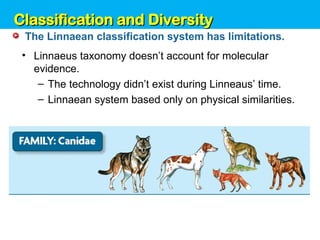 Unit 6: Classification and Diversity
The Linnaean classification system has limitations.
• Linnaeus taxonomy doesn’t account for molecular
evidence.
– The technology didn’t exist during Linneaus’ time.
– Linnaean system based only on physical similarities.
Classification and Diversity
Classification and Diversity
 
