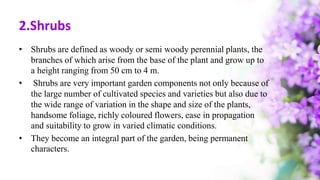 classification of ornamentals.pptx
