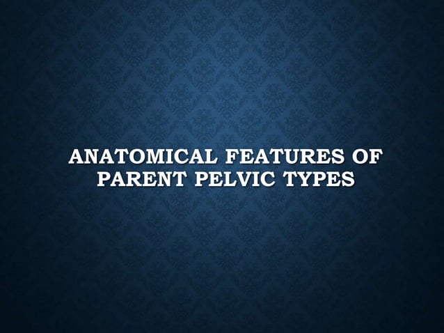 Classification of pelvis | PPTX | Pregnancy | Reproductive Health