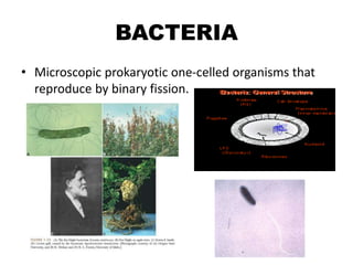 BACTERIA
• Microscopic prokaryotic one-celled organisms that
reproduce by binary fission.
 