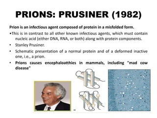 PRIONS: PRUSINER (1982)
Prion is an infectious agent composed of protein in a misfolded form.
•This is in contrast to all other known infectious agents, which must contain
nucleic acid (either DNA, RNA, or both) along with protein components.
• Stanley Prusiner.
• Schematic presentation of a normal protein and of a deformed inactive
one, i.e., a prion.
• Prions causes encephaloatthies in mammals, including "mad cow
disease"
 