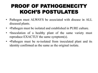 PROOF OF PATHOGENECITY
KOCH’S POSTULATES
• Pathogen must ALWAYS be associated with disease in ALL
diseased plants.
• •Pathogen must be isolated and established in PURE culture.
• •Inoculation of a healthy plant of the same variety must
reproduce EXACTLY the same symptom(s).
• •Pathogen must be re-isolated from inoculated plant and its
identity confirmed as the same as the original isolate.
 