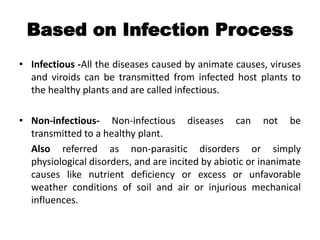 Based on Infection Process
• Infectious -All the diseases caused by animate causes, viruses
and viroids can be transmitted from infected host plants to
the healthy plants and are called infectious.
• Non-infectious- Non-infectious diseases can not be
transmitted to a healthy plant.
Also referred as non-parasitic disorders or simply
physiological disorders, and are incited by abiotic or inanimate
causes like nutrient deficiency or excess or unfavorable
weather conditions of soil and air or injurious mechanical
influences.
 