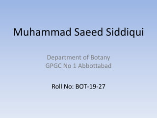 Muhammad Saeed Siddiqui
Department of Botany
GPGC No 1 Abbottabad
Roll No: BOT-19-27
 
