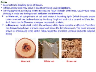 Classification of Plant Diseases.pptx......... | PPTX