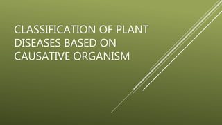 CLASSIFICATION OF PLANT
DISEASES BASED ON
CAUSATIVE ORGANISM
 