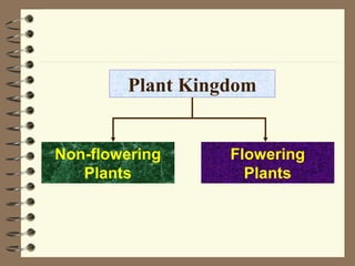 Plant Kingdom

Non-flowering
Plants

Flowering
Plants

 