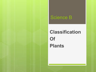 Science B
Classification
Of
Plants
 
