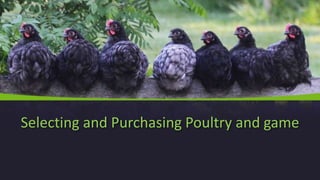 Selecting and Purchasing Poultry and game
 