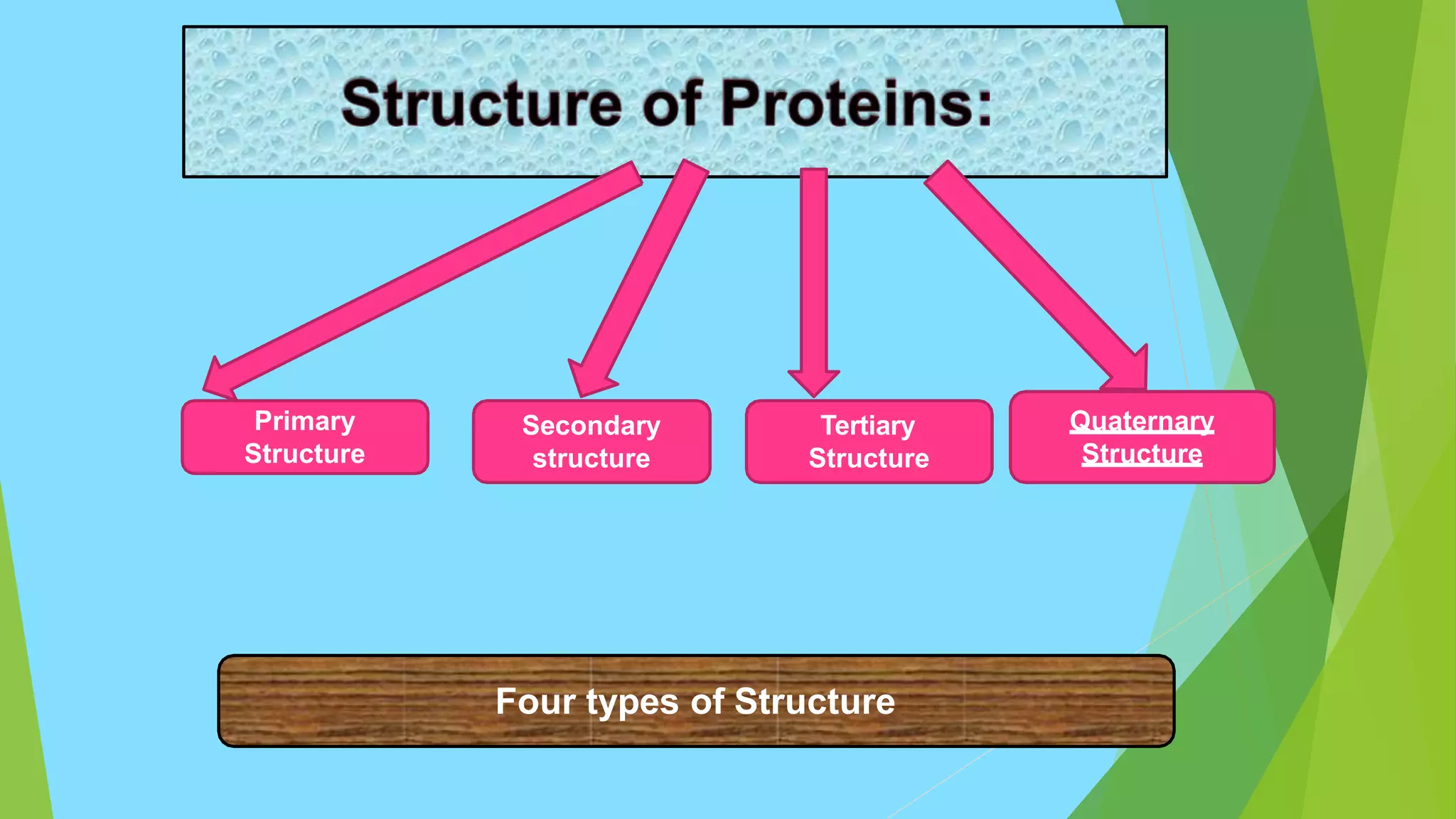 Classification of protein | PPTX | Chemistry | Science