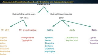 • Amino Acids Classification based on hydrophobic and hydrophilic property
 