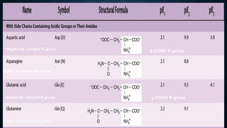 •
Negatively charged R group
β-COOH R group
Polar, Uncharged-R group
Negatively charged R group γ-COOH R group
Polar, Uncharged-R group
 
